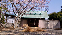 『五香宮の猫』画像